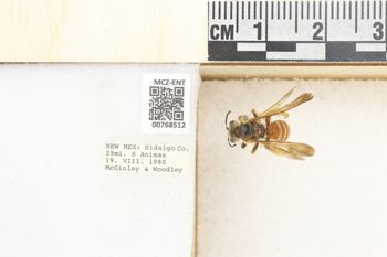 Media type: image;   Entomology 768512 Aspect: Labels